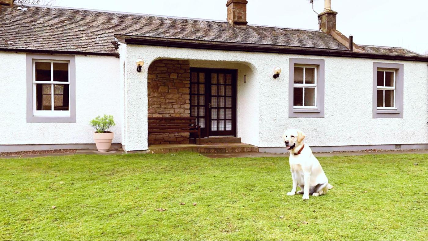 Bed and Breakfast Kilconquhar Castle Estate Exterior foto